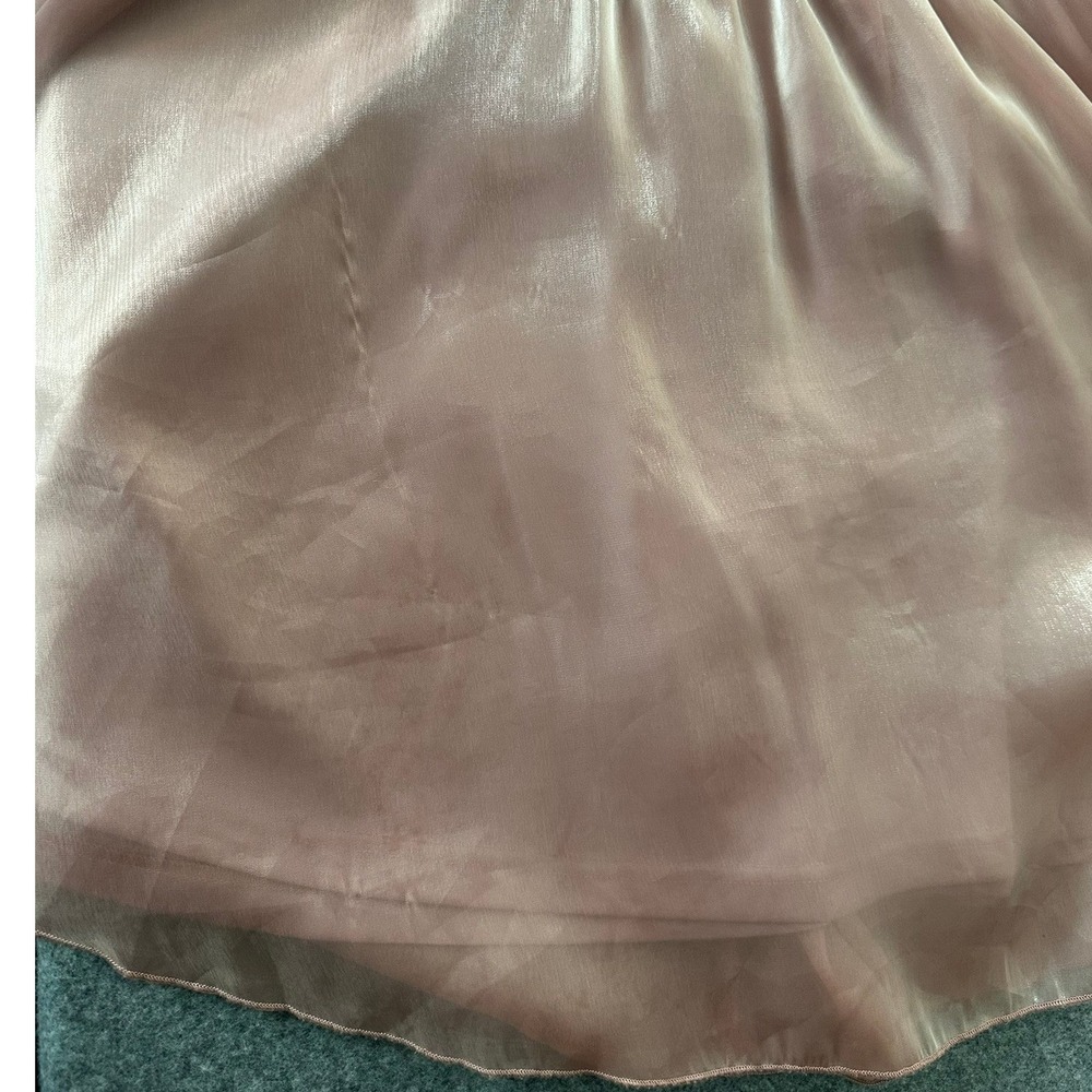 Arula Addison Dress Size C (3X) Pink Puff Sleeve Coquette Ethereal Fairycore - Picture 7 of 13